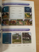 Vocabolario Visuale Quaderno degli esercizi