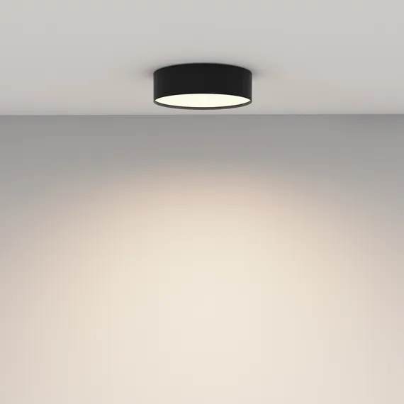 Потолочный светильник Зон / Zon 24 Вт 3000 К 120° Technical c032cl-24w3k-rd-b