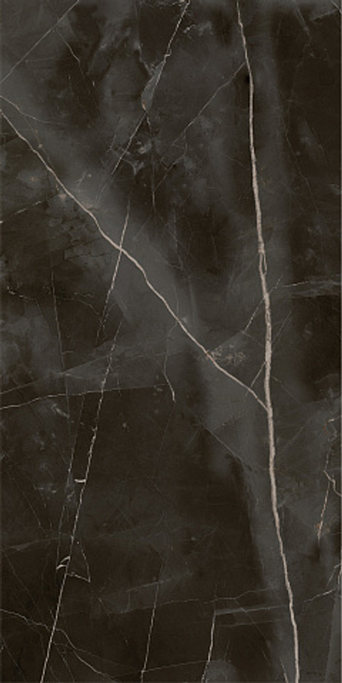 Керамогранит Italon Stellaris Absolut Black шлиф 610015000682 60х120 см