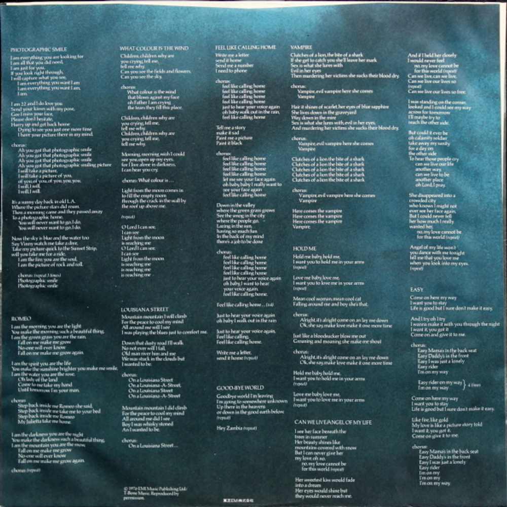 Mr Big / Photographic Smile (LP)