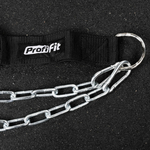 Ремень для подвешивания отягощений к поясу нейлоновый (с логотипом) PROFI-FIT-RT-007