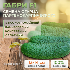ГАБРИ F1 семена огурца (Sakata | Alexagro)
