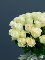 Розы белые 51 шт