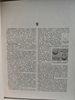Большая Советская Энциклопедия, в 51 томе. Том 28