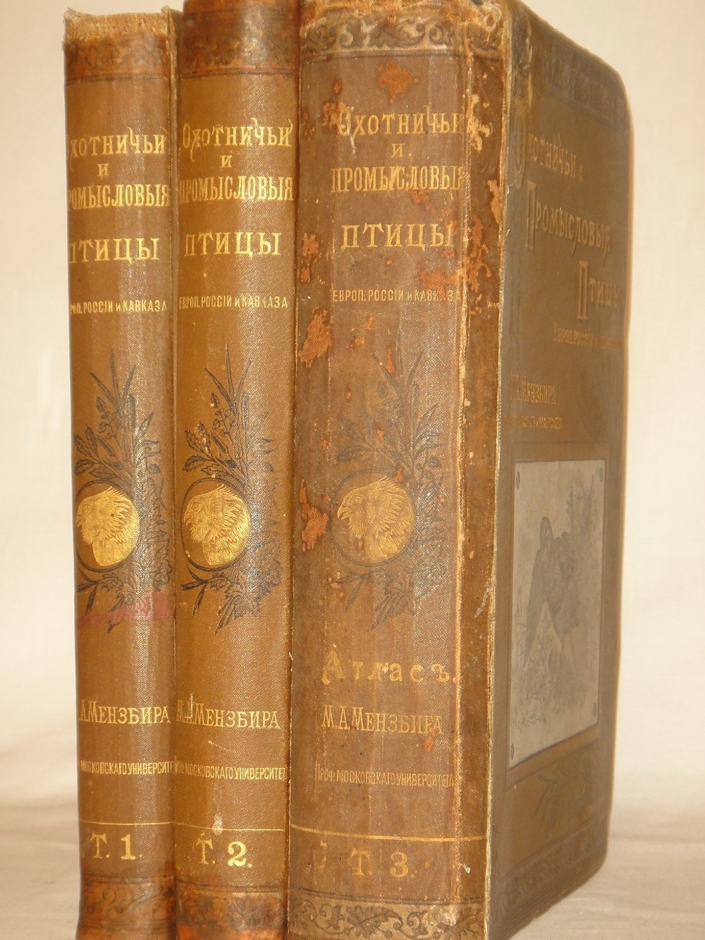 "Охотничьи и промысловые птицы Европейской России и Кавказа. В 2-х томах и Атласом". М.А.Мензбир. 1902г.