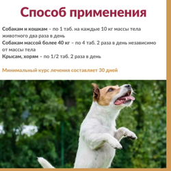 Кормовая добавка, хондропротектор нового поколения, улучшающая состояние печени и сердца у кошек, собак, крыс и хорьков АртроГликан (Биоцентр), 300таблеток