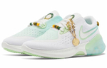 Кроссовки Nike Joyride Dual Run 1 (Женская размерная сетка)