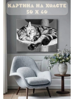 Картина на стену 40 X 50 Кошка