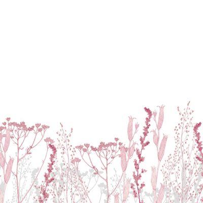 Полевые цветы