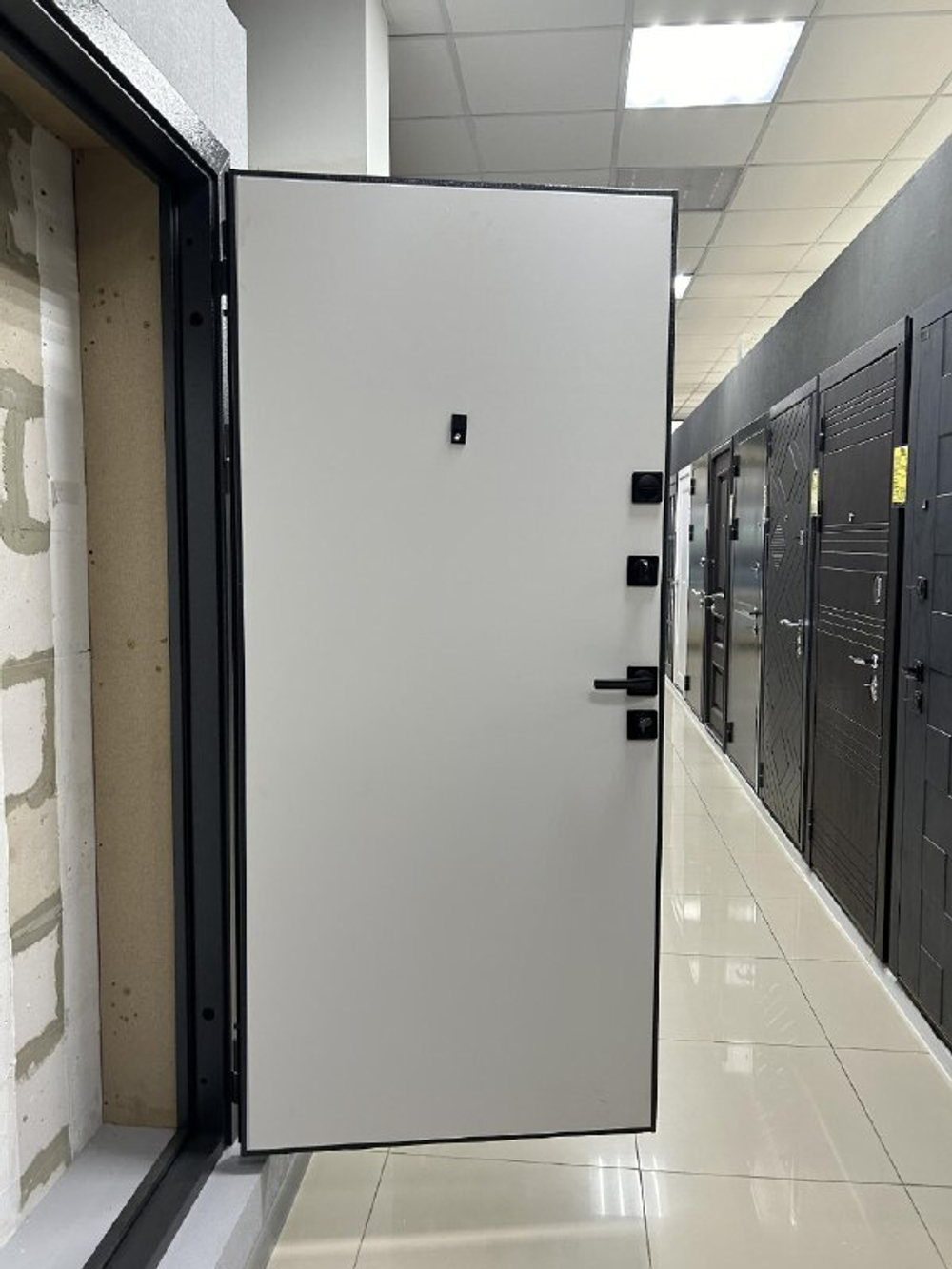 Дверь входная Вена