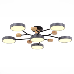 Светильник потолочный Evoluce Faema SLE6006-702-06