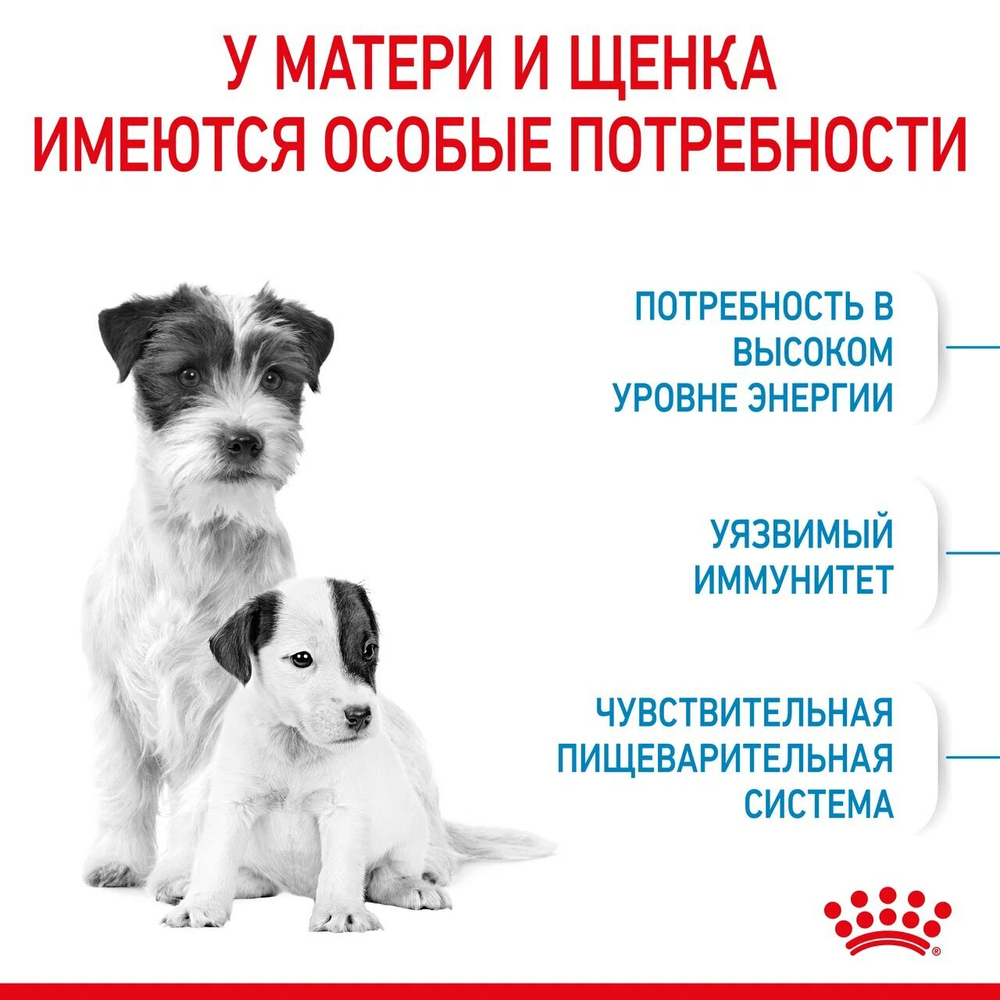 ROYAL CANIN Mini Starter Корм сухой для щенков мелких пород до 2 месяцев, 1 кг