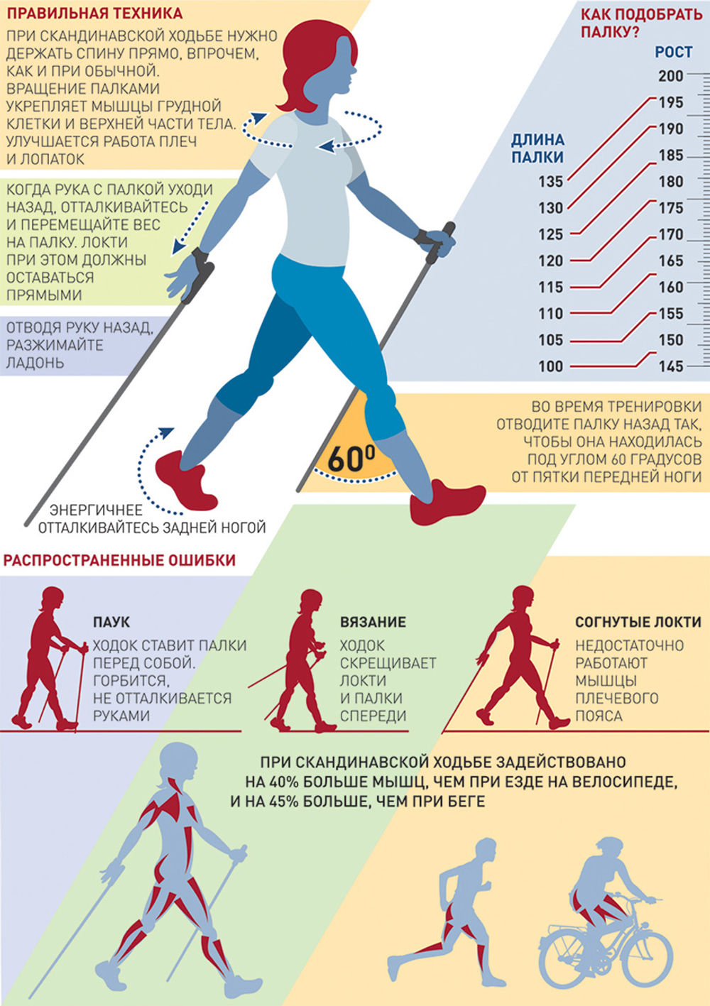 Палки для скандинавской ходьбы Ergo-50, Е-0674, алюмин.сплав, амортиз., 110-140 см
