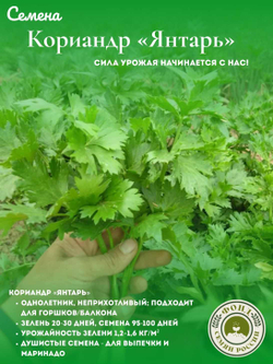 Кориандр (кинза) 3 сорта, 3 упаковки, семена 9 гр.