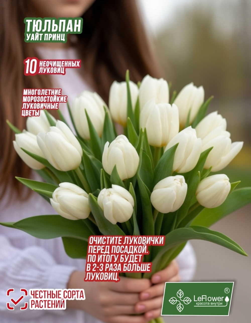 Тюльпан Луковица, Уайт Принц, 10шт