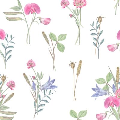 Букет полевых цветов на белом