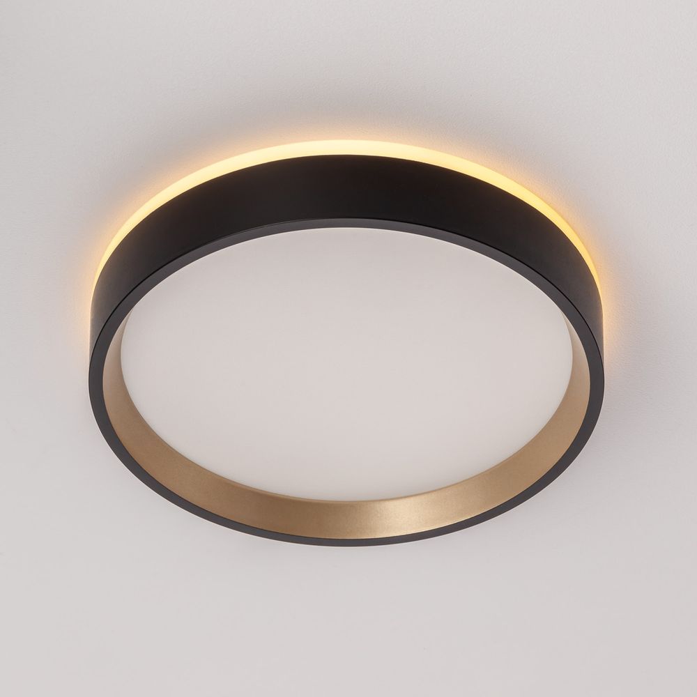 Citilux ETALON CL750181 LED Светильник с подсветкой Чёрный+Золото