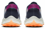 Кроссовки Nike Pegasus Trail 2 (Женская размерная сетка)