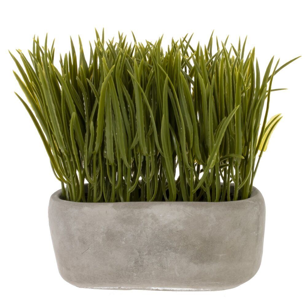 GAEM Цветочная композиция "Осока", L14 W7,5 H16 см