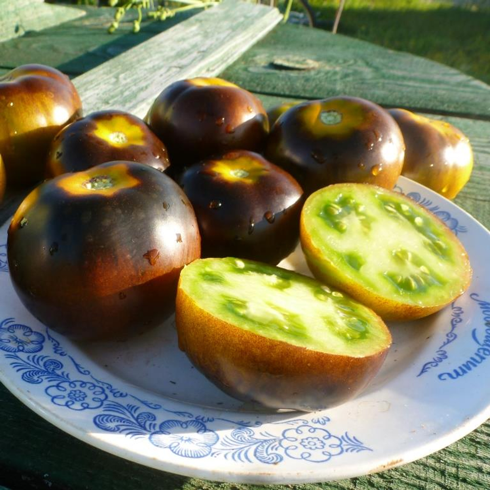 Помидоры - Blue Green Zebra - Сине-зелёная Зебра