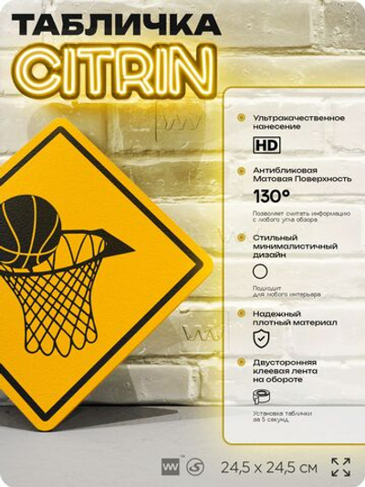 Табличка декоративная "Баскетбол" на дверь и стену, спортивная, информационная, декоративный знак, 24,5х24,5 см, пластиковая, Айдентика Технолоджи