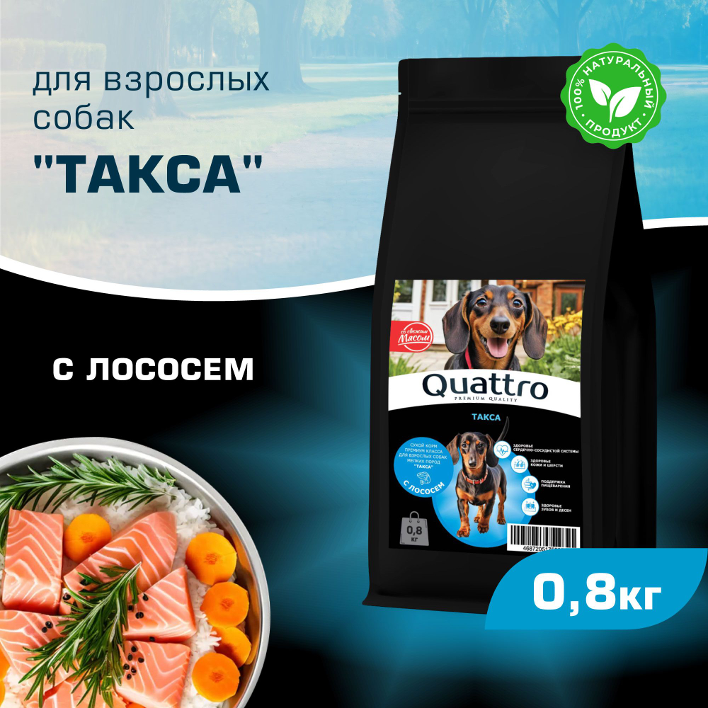 Корм сухой для взрослых собак породы Такса (стандартная), с лососем, 800 гр, QUATTRO