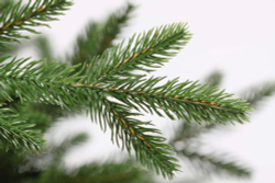 Ель искусственная Царь елка Адель 180 см АДЛ-180