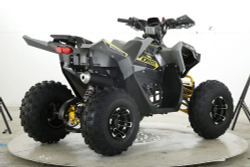 Квадроцикл бензиновый MOTAX GRIZLIK RAPTOR D125 LUX (3+1)