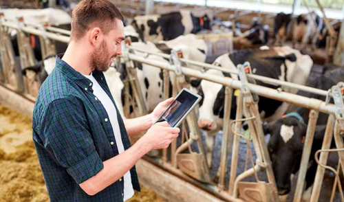 АУДИТ КОРМЛЕНИЯ