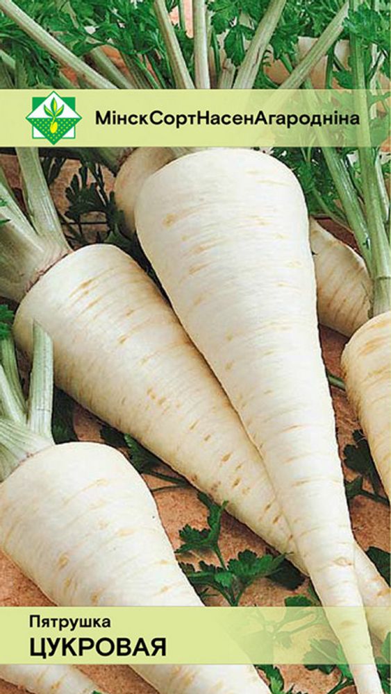 Петрушка корневая "Сахарная" 2г, Польша.