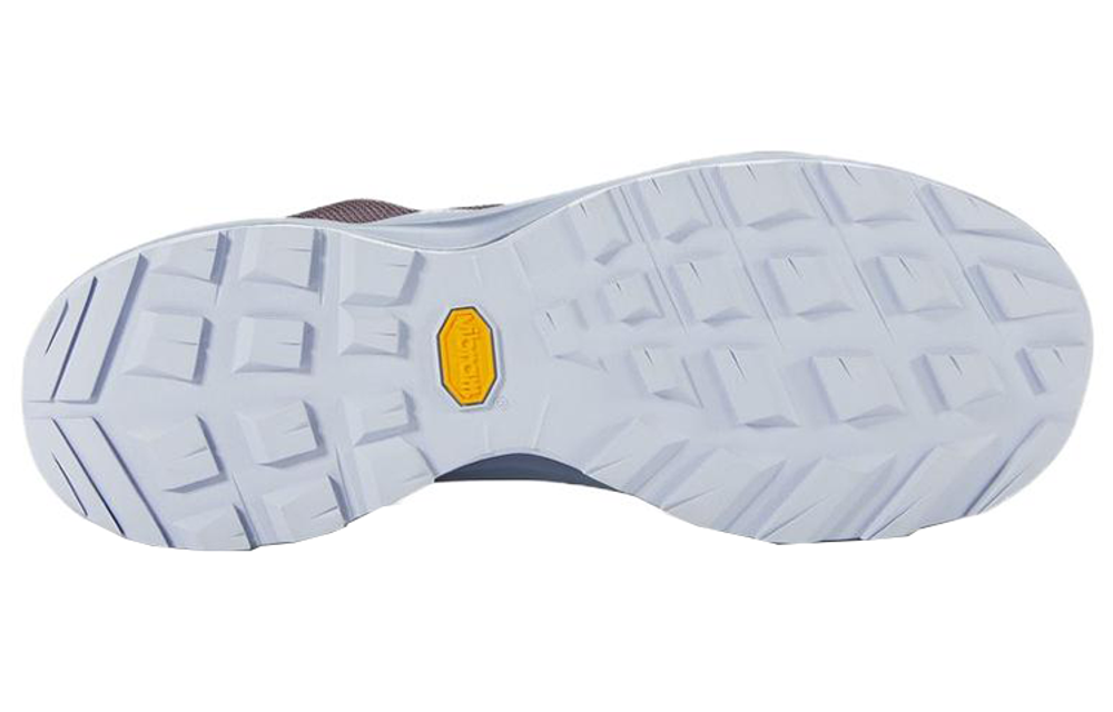 Arcteryx Aerios FL 2 GTX Cushioning Slip Resistant Abrasion Resistant Low top Outdoor Shoes Unisex Brown Gray