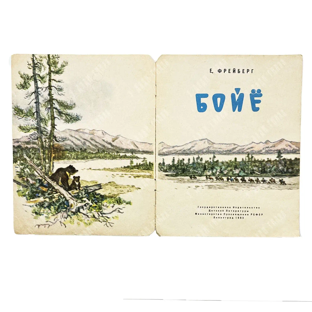 Фрейберг Е. Бойе. Повесть / Рис. Н. Кочергина. — Л.: Детгиз, 1963.