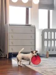 Комод Baby Chipak Just 5.4 Снежное Утро