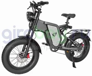 Электровелосипед Syccyba Impulse X20 Lite (48V/20Ah) - Спицы фото №1