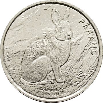 50 колонов 2023 Коста-Рика, Фауна экосистемы - Парамо. Горный кролик