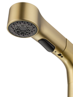 Смеситель для раковины с выдвижным изливом WONZON & WOGHAND, Брашированное золото (WW-121B108-BG)