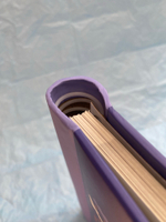 Фотоальбом семейный на 20 магнитных листов 23х28 см, SPb city art: violet