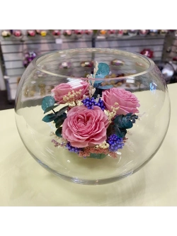 Натуральные пионы в стекле, вакуум