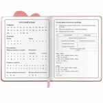 Дневник 1-4 класс 48 л., кожзам (твердая с поролоном), фигурный край, ЮНЛАНДИЯ, "Котик", 106934