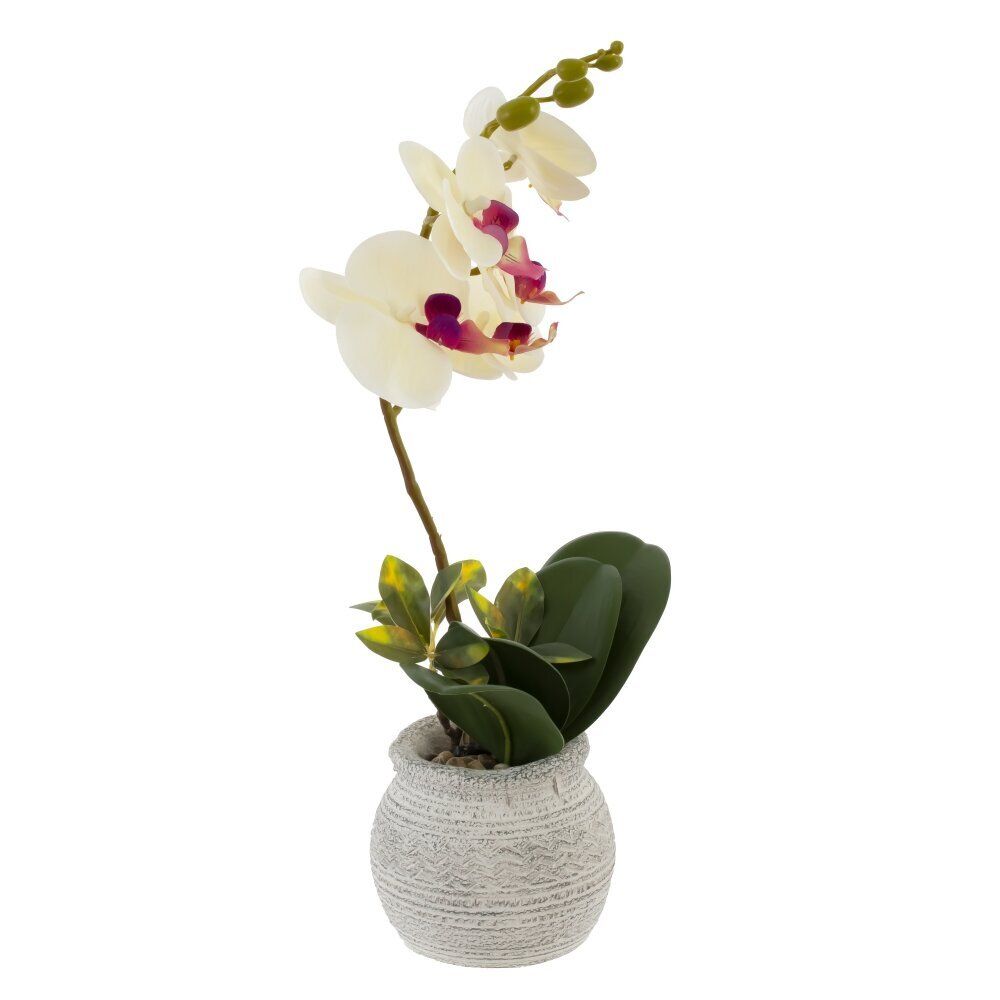GAEM Цветочная композиция "Орхидея", L18 W15 H34 см
