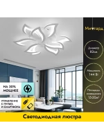 Люстра потолочная светодиодная DF8032/9