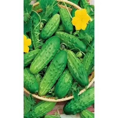 Семена Огурец Нежинский 12 (УД) Е/П