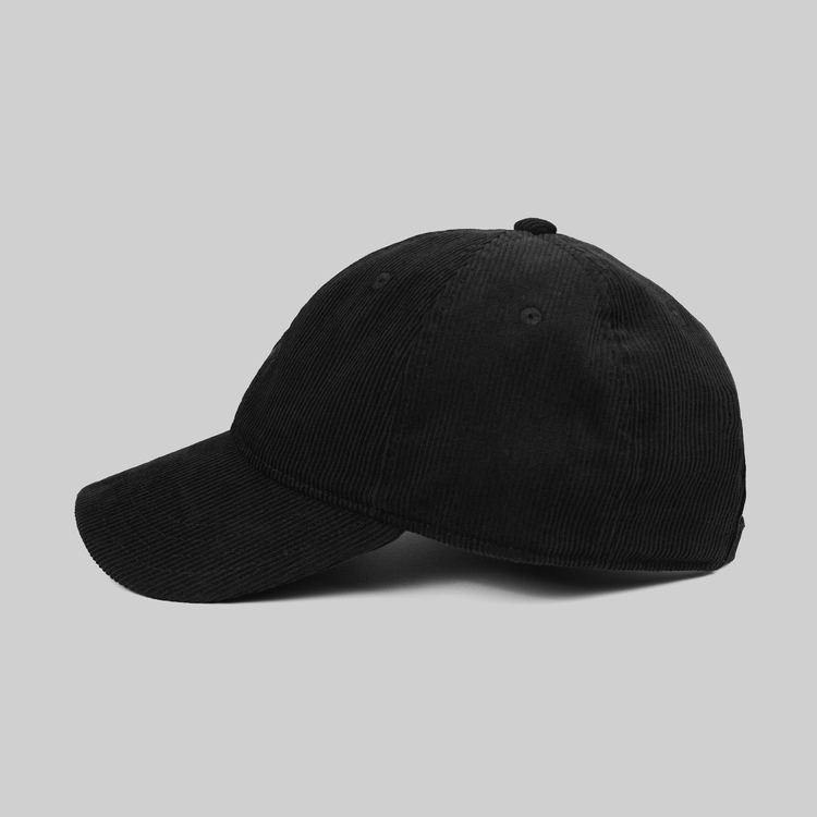 Кепка Carhartt WIP Harlem Cap артикул:I028955 - купить в магазине Дайс