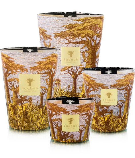 Cocody, свеча MAX 10 Sacred Trees collection, Baobab Collection