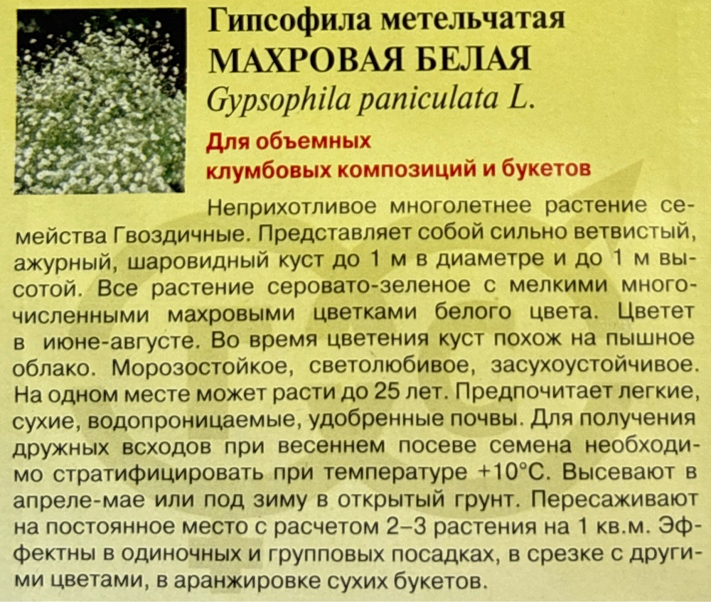 Гипсофила мн. Махровая белая 0,1 г СМЦ-961