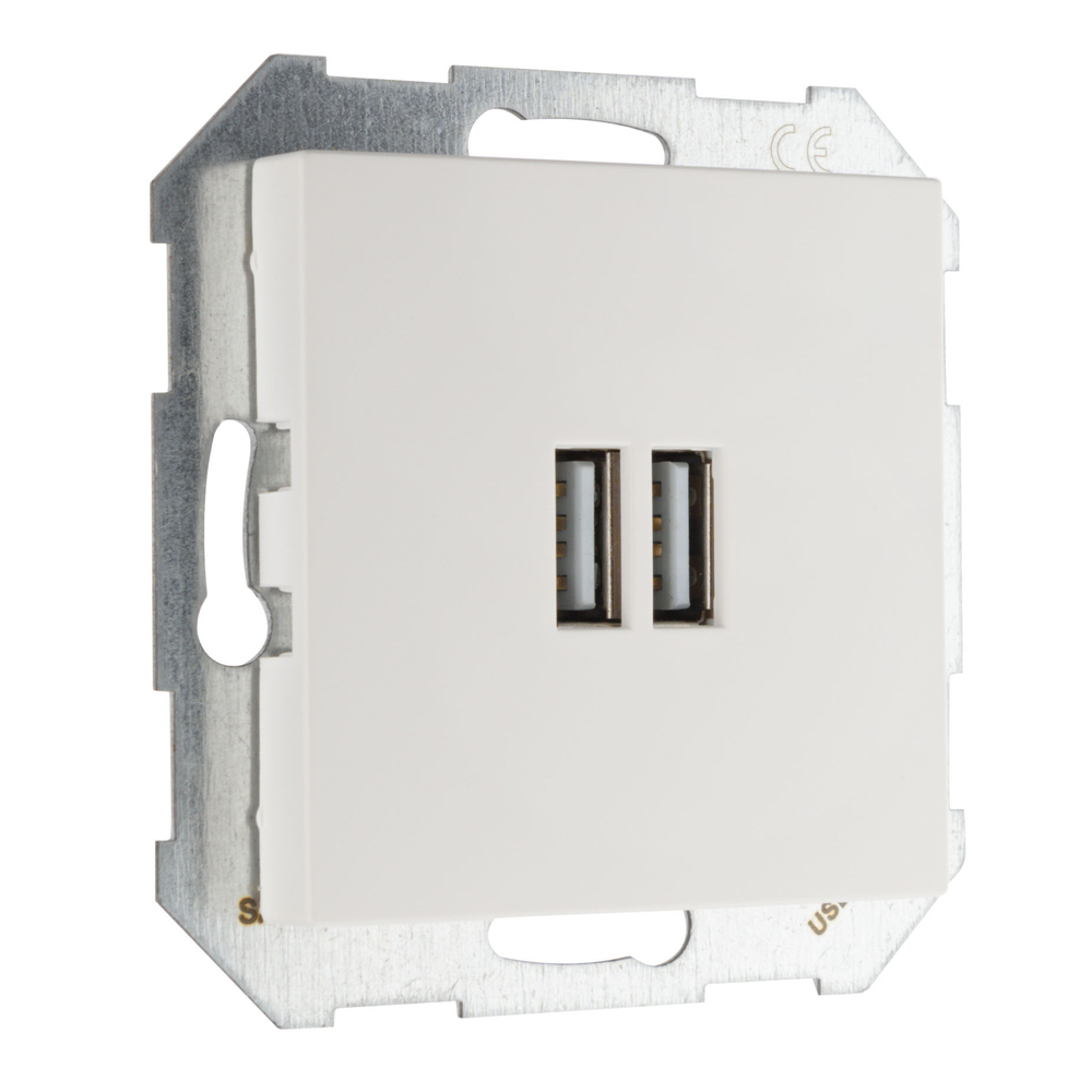 USB A+A розетка, 3400 мА LIREGUS RETRO IUK-2-01.R/WWM белая матовая
