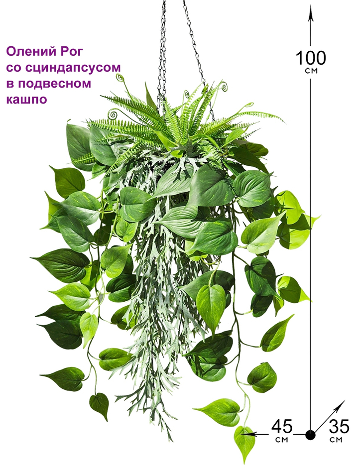Искусственные растения Олений Рог и Сциндапсус в подвесном кашпо