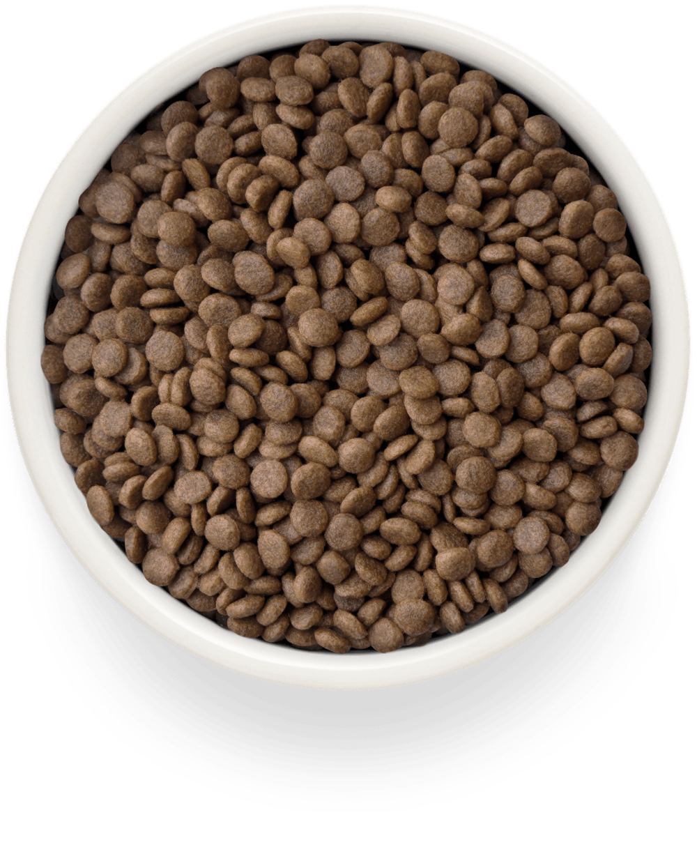 Grandorf Fresh Cat Potato корм сухой беззерновой для стерилизованных кошек индейка,батат
