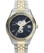 Женские наручные часы Timex TW2V47500