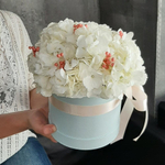 Букет с гортензиями «Ванила пич»